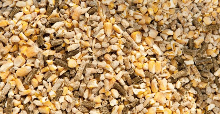 Grain Journal tweet media