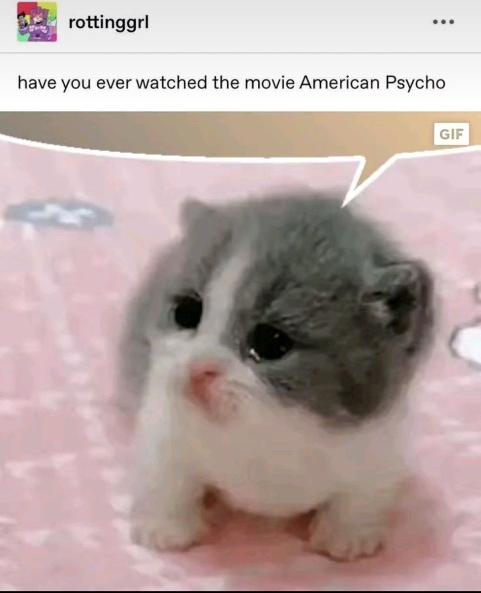 ౨ৎ ⋆。˚ tweet media