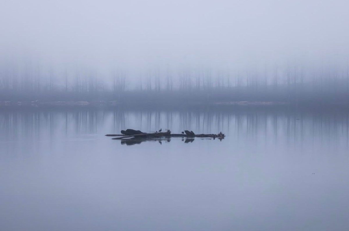 FraserRiverDiscovery tweet media