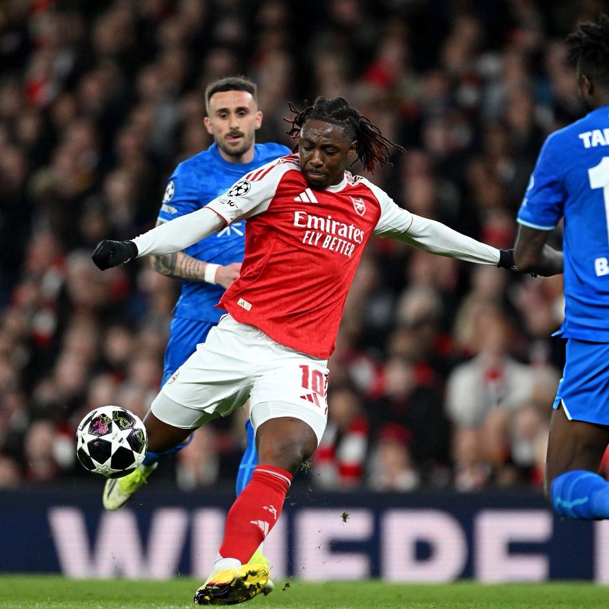 DailyAFC tweet media