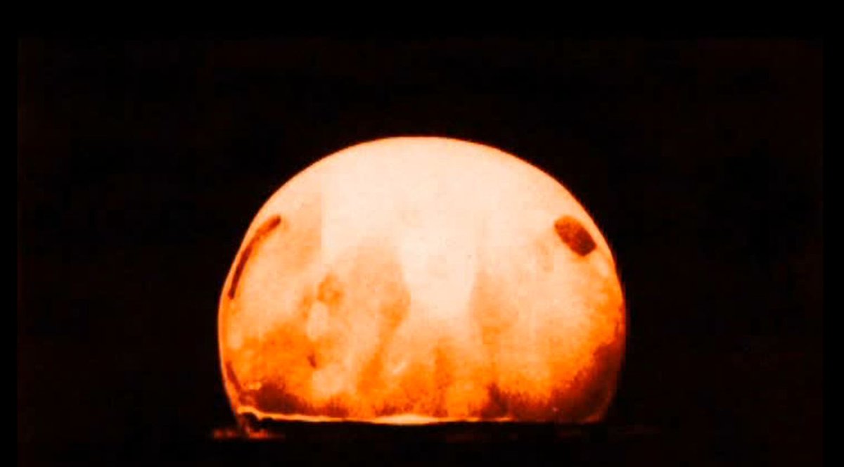 HistoCast tweet media