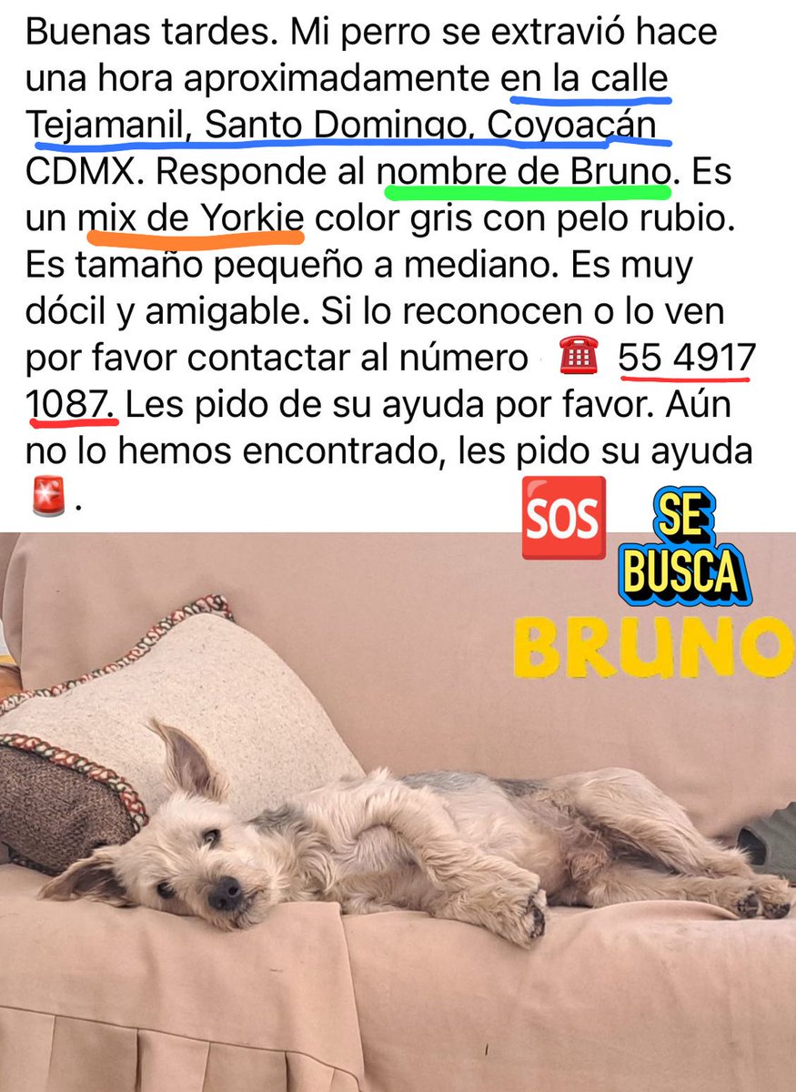 por_perros tweet media