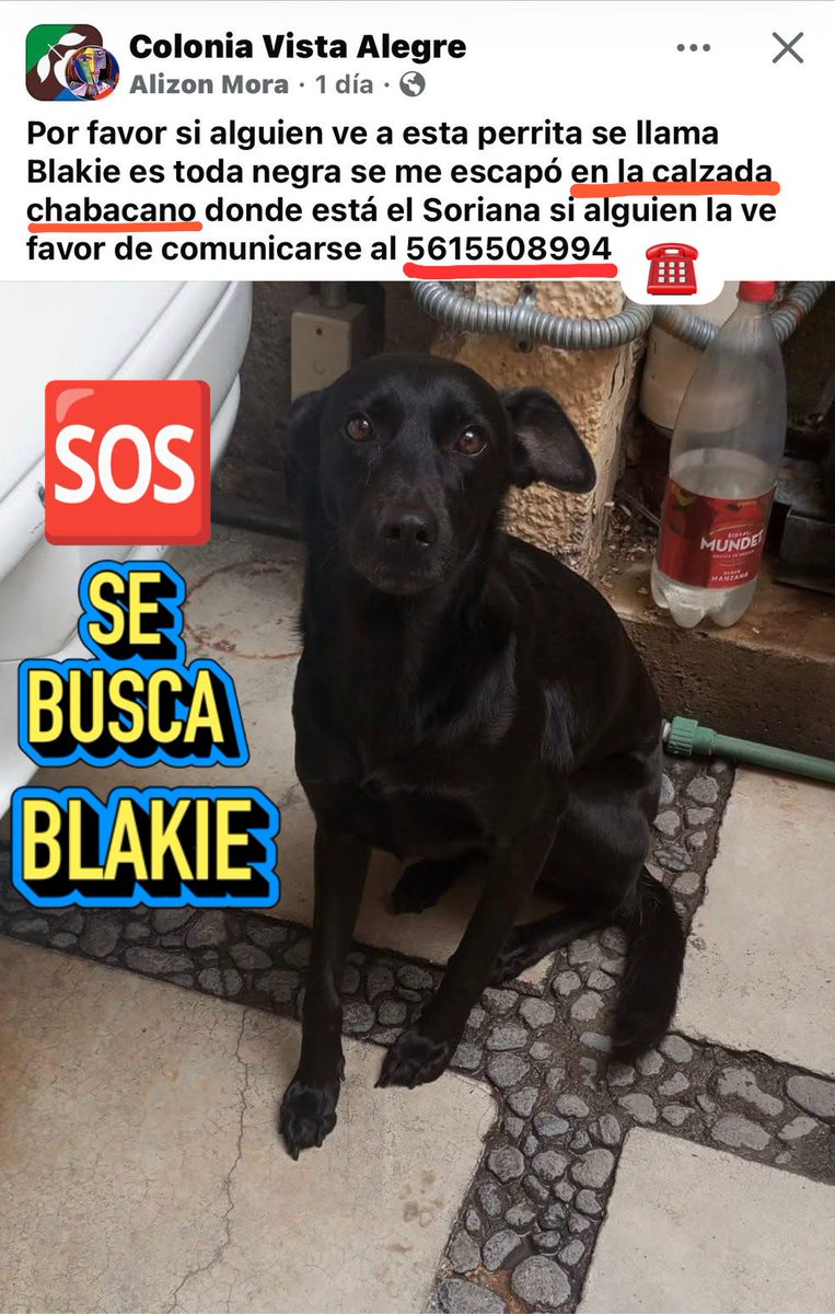 por_perros's tweet photo. https://t.co/1yHRFh3ttk