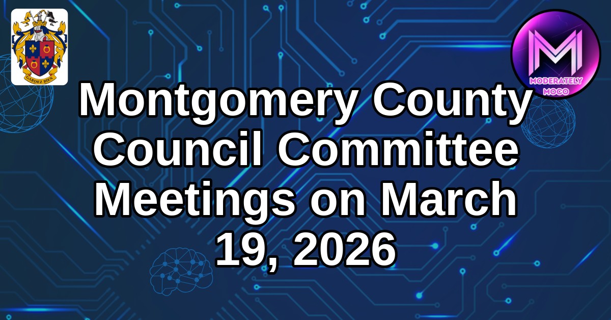 MocoFeed tweet media