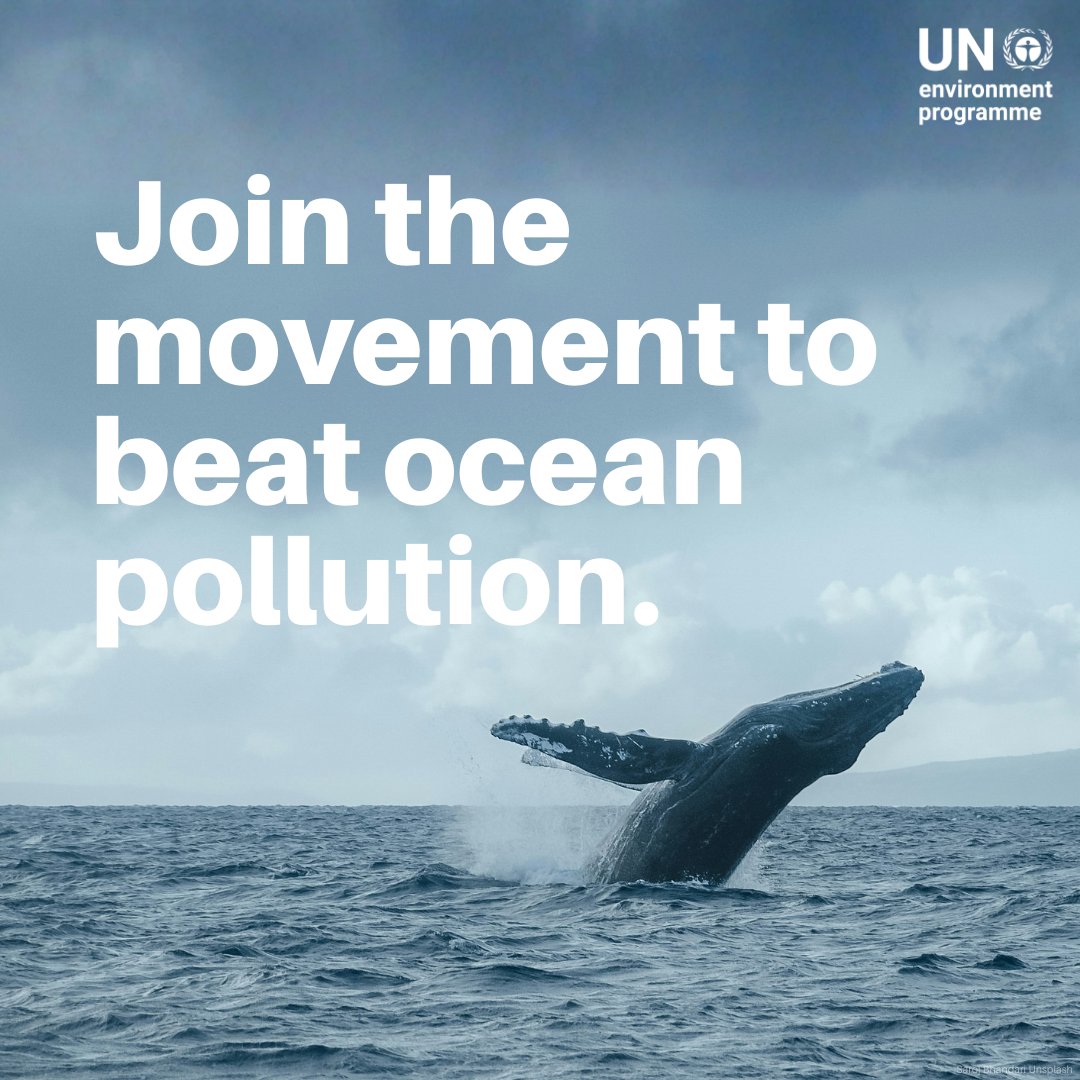 UN Environment Programme tweet media