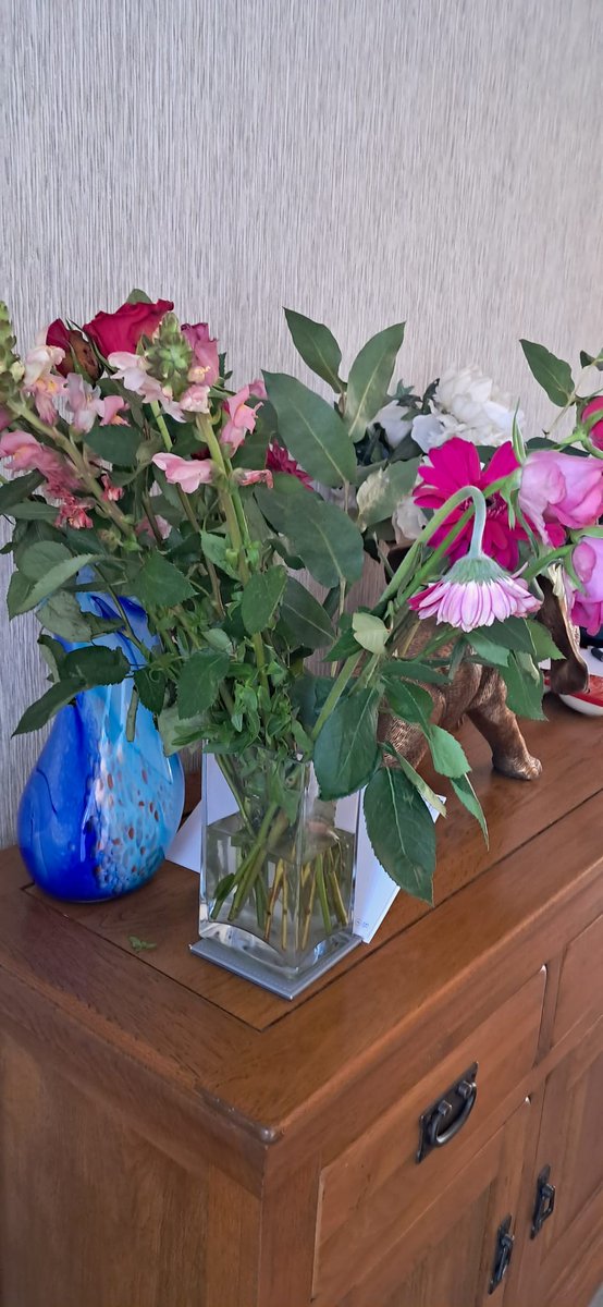 welshregan's tweet photo. @marksandspencer pretty disappointed mother after these flowers didn't even last 3 years!  They look as sad as my mum! #mothersday #flowers https://t.co/75pmmL2gmC