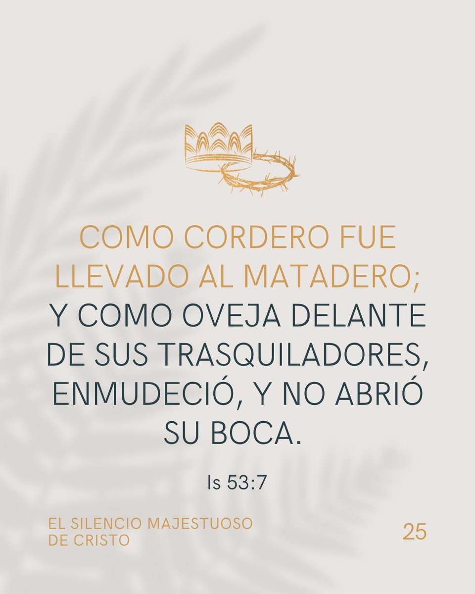 Editorial Portavoz tweet media