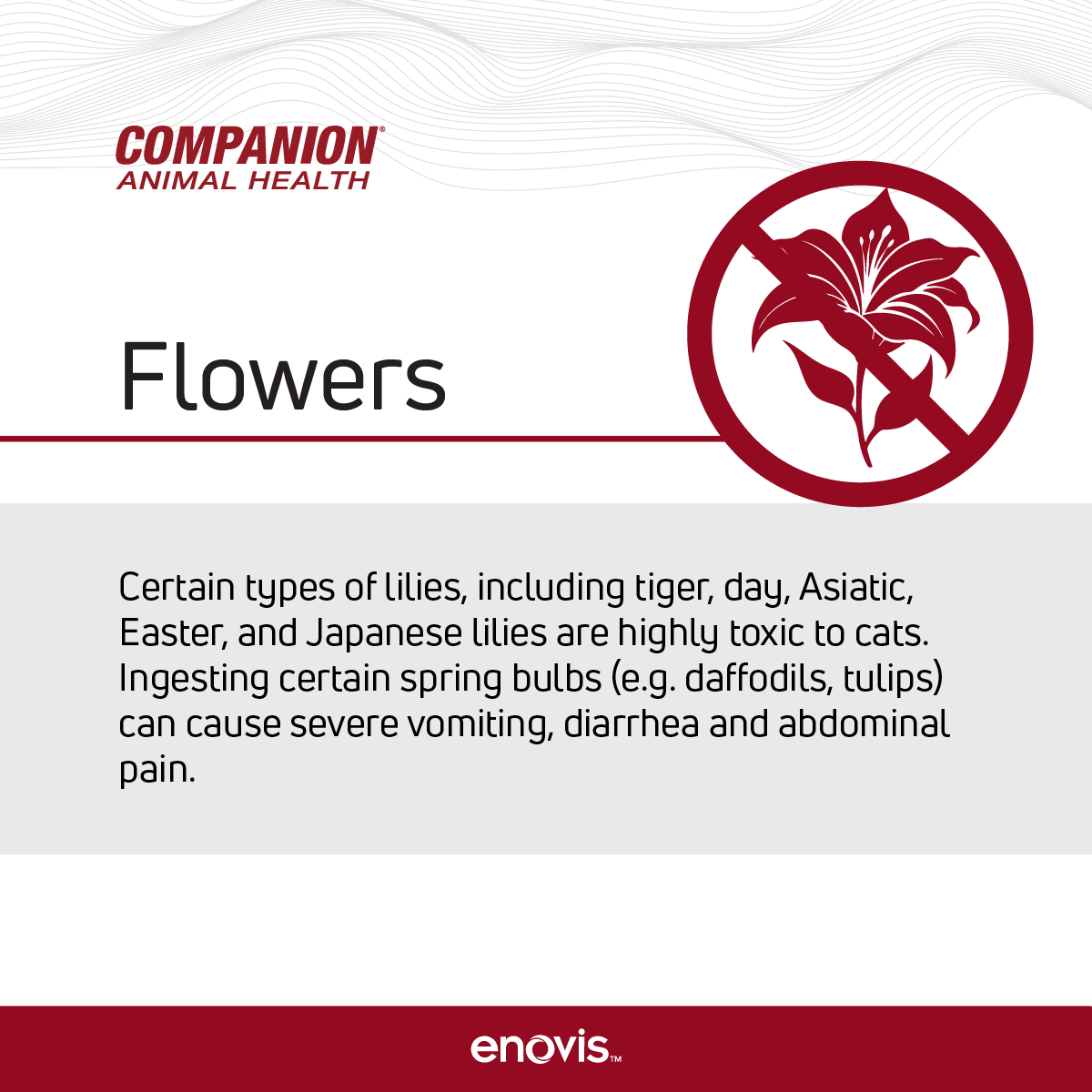 Companion Animal Health tweet media