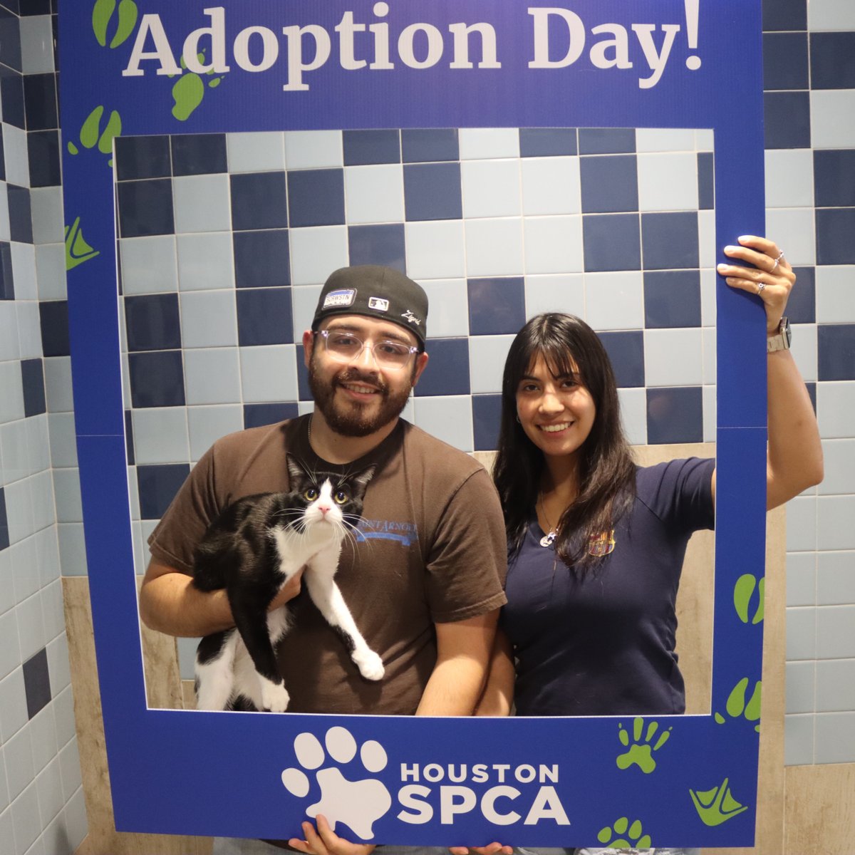 Houston SPCA tweet media