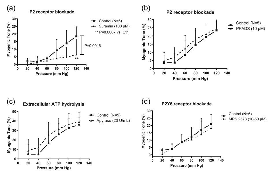 Experimental Physiology tweet media