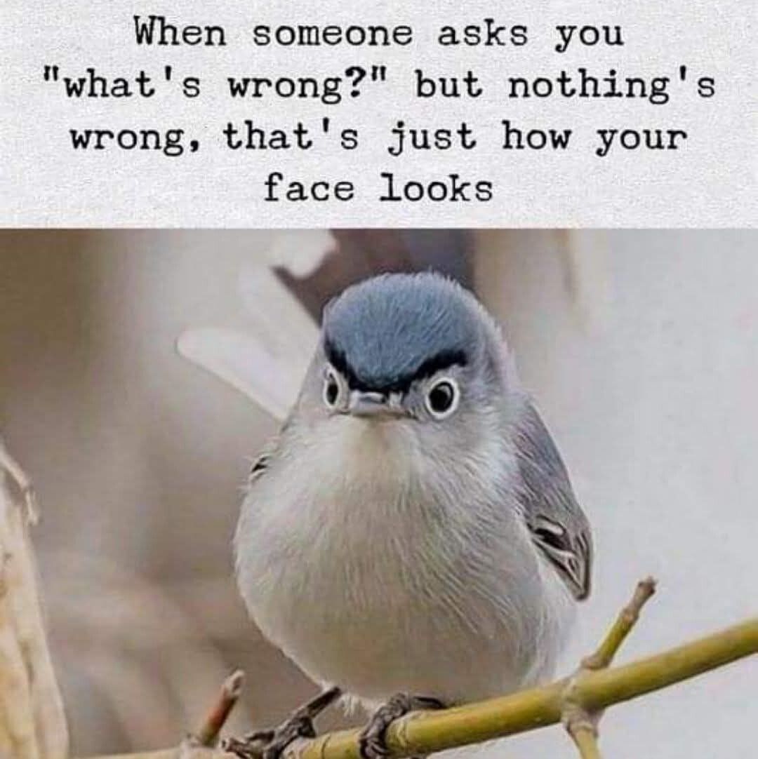 Help A Teacher tweet media