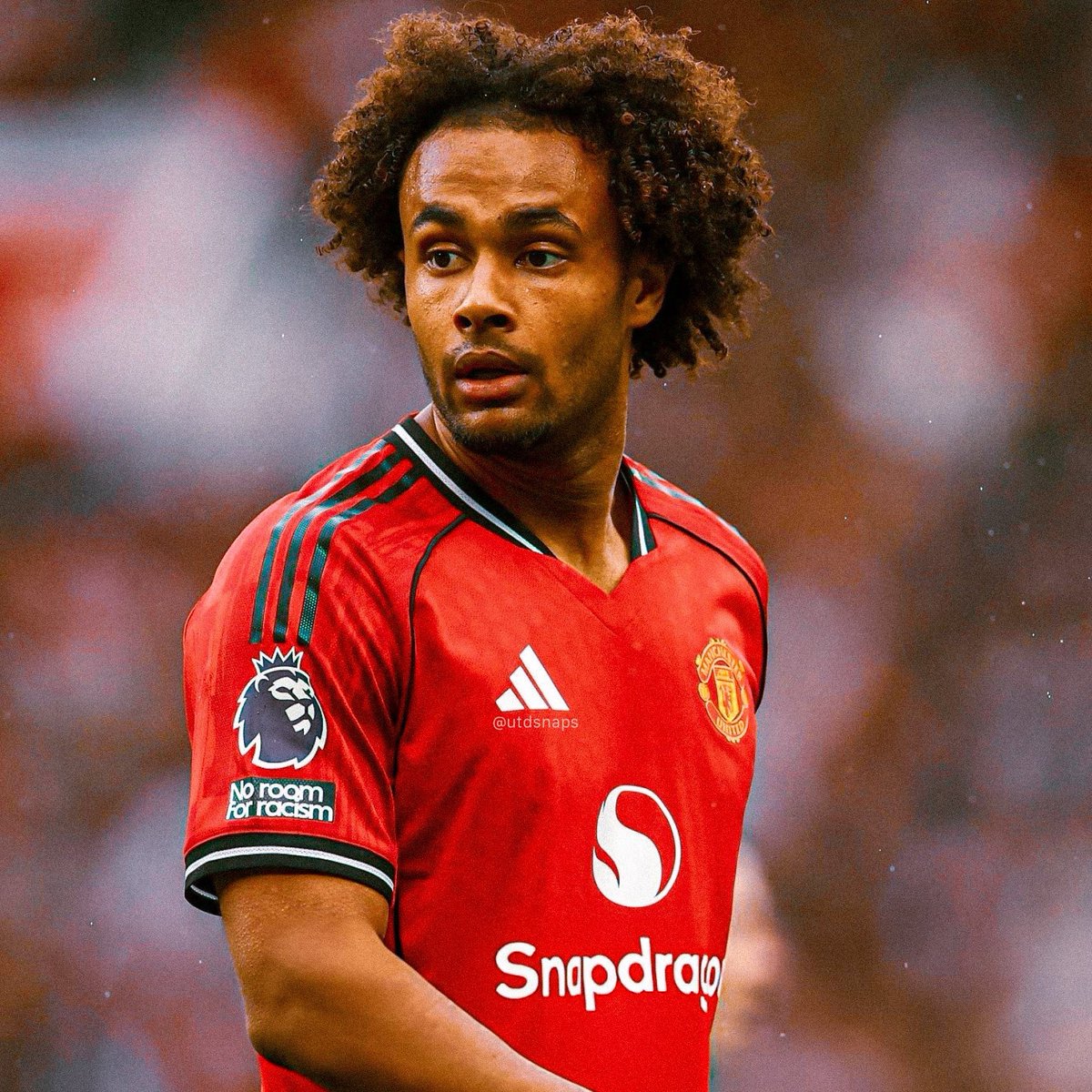 United Update tweet media