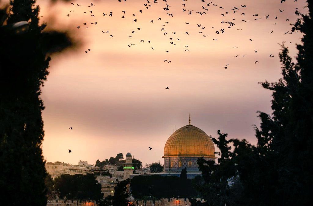 Gazze’de tüm dünyanın gözleri önünde soykırım yapan İsrail, baskı ve işgal politikalarını Mescid-i Aksa’ya yönelik kuşatmayla sürdürüyor.
Aksa'nın kapıları 19 gündür kapalı!

Tüm dünya bilsin ki Mescid-i Aksa da Filistin de bir gün özgür olacak! 🇵🇸

#AksayaSahipÇık #OpenAqsa