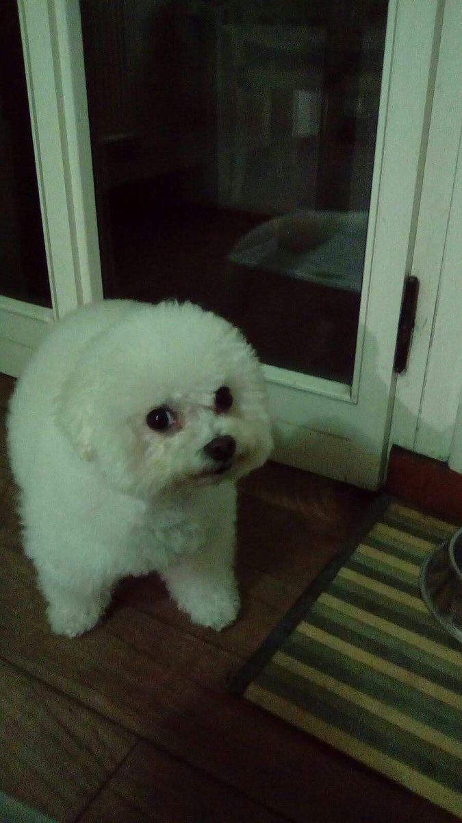 Donna Più Firenze negozio abbigliamento donna tweet media