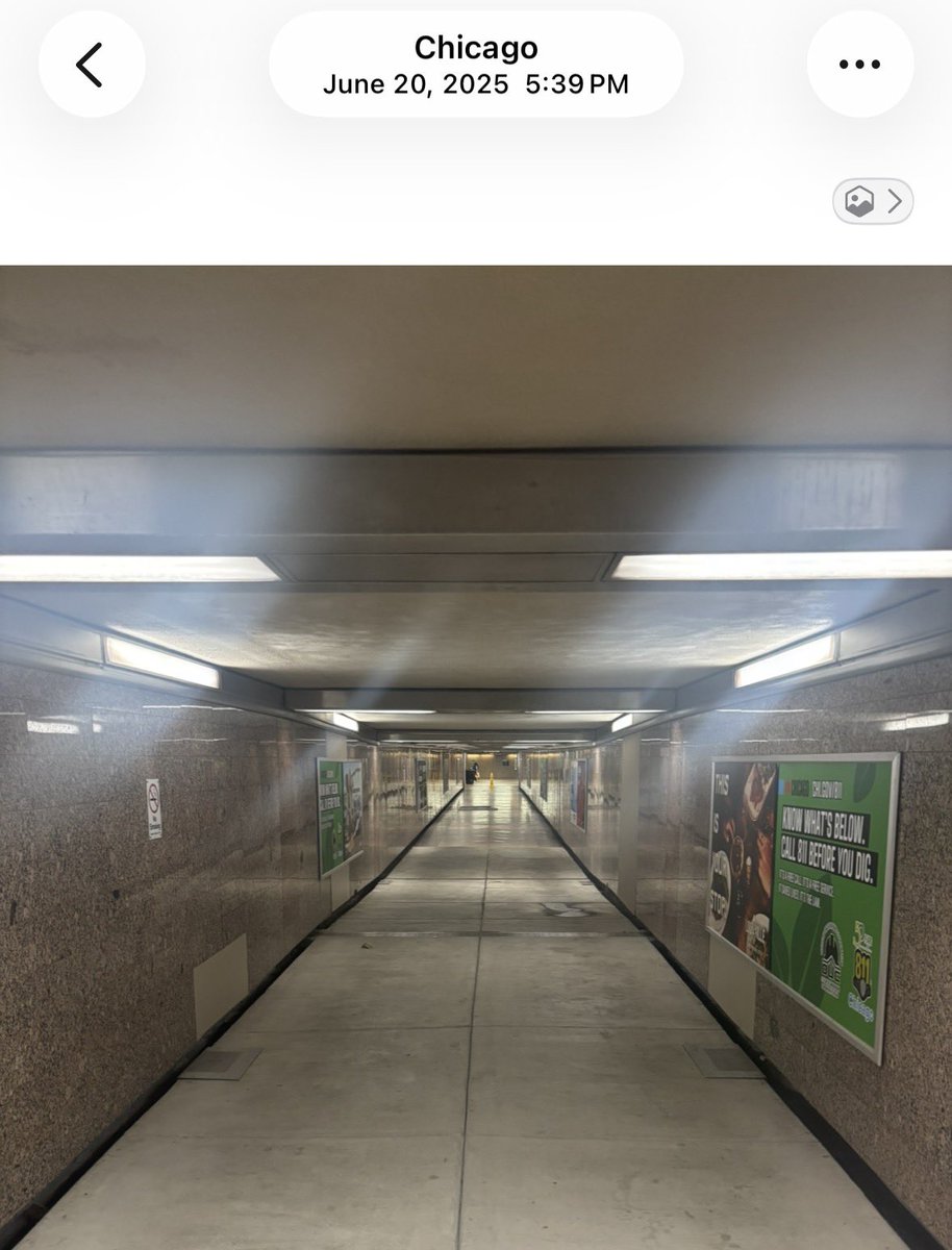 cold 🥑 tweet media