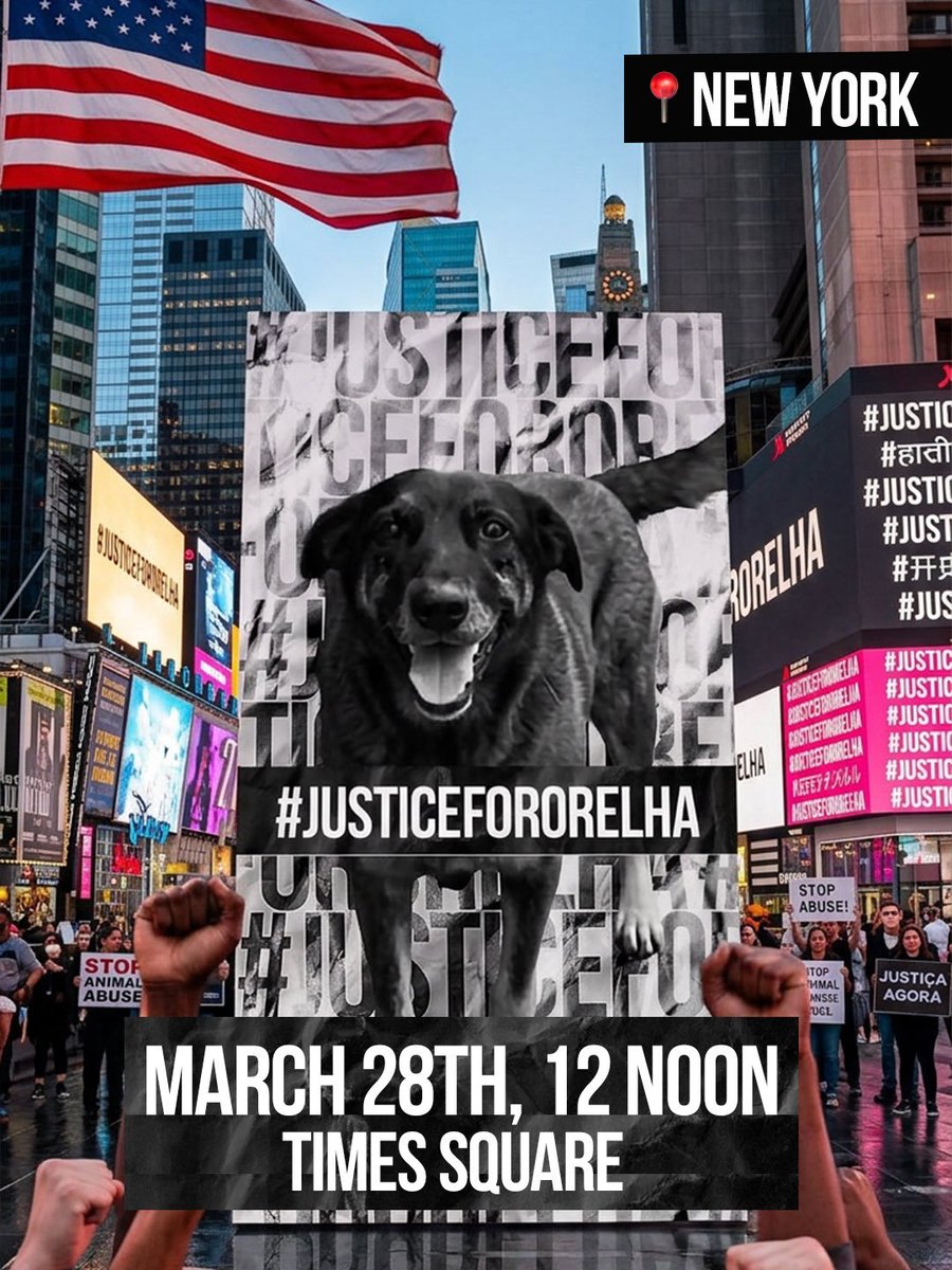 PhaedraXTeddy's tweet image. ALL of the Americas proudly unite against #AnimalCruelty! The great🌎 does not approve of online "challenges" against animals. We are above all that.
YOU are invited to the Official #JusticeforOrelha Vigil for BeachDog #Orelha 
Saturday March 28, 2026 12 Noon at Times Square!
It