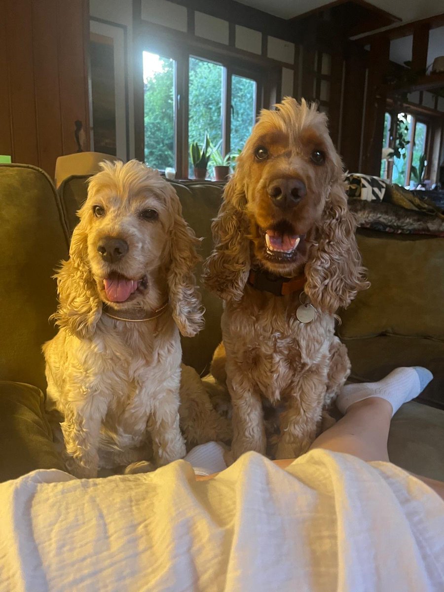 chris towers tweet media