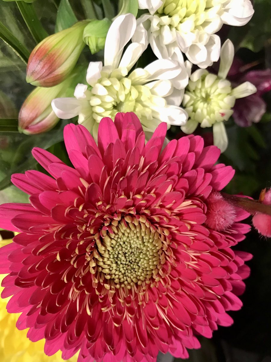 Ulla-Maija Määttä tweet media