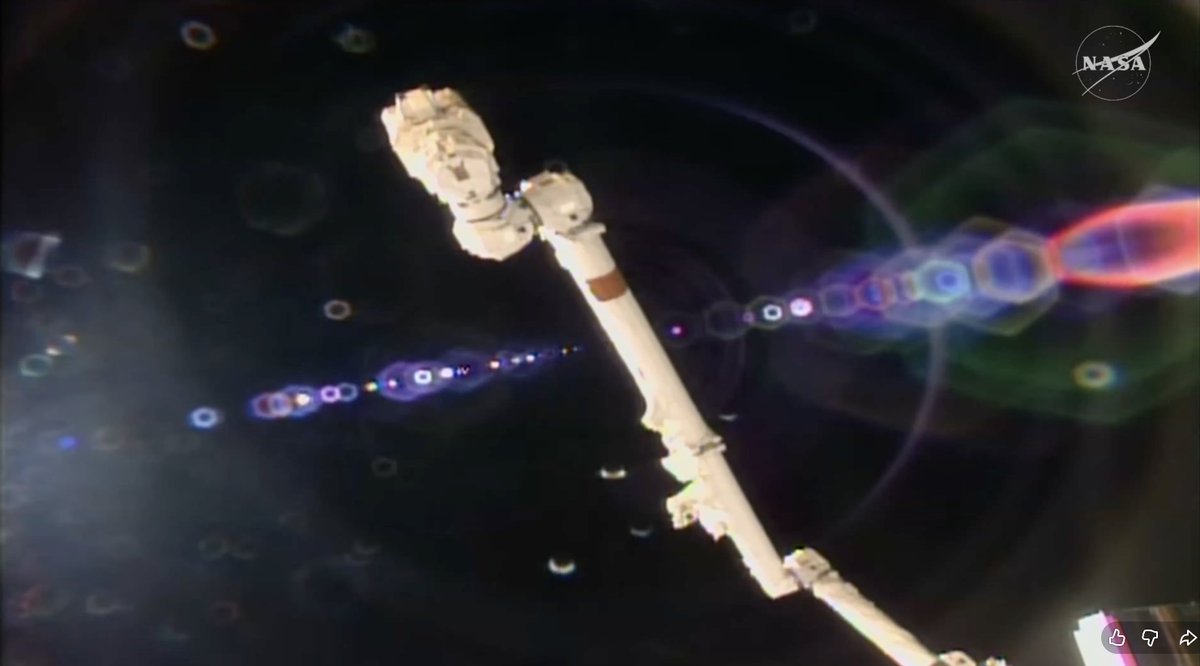 Human Spaceflight tweet media