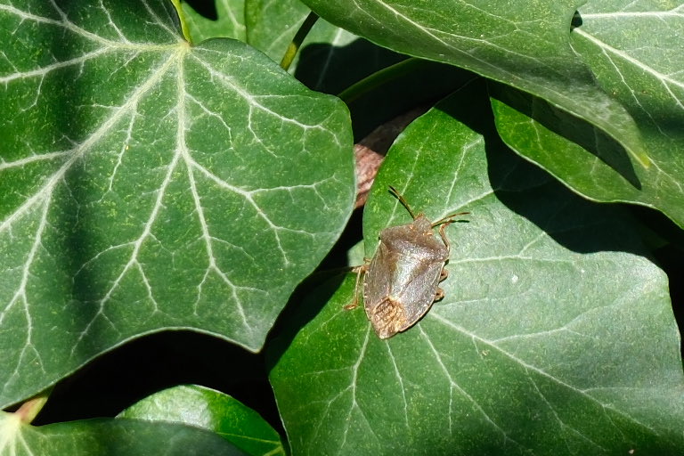 David Turner tweet media