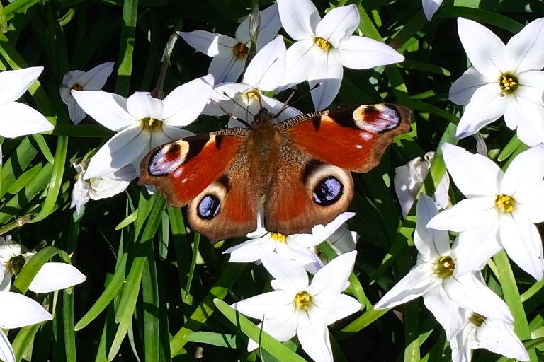 David Turner tweet media