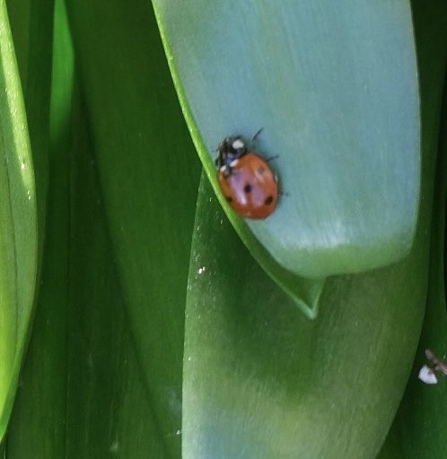 David Turner tweet media