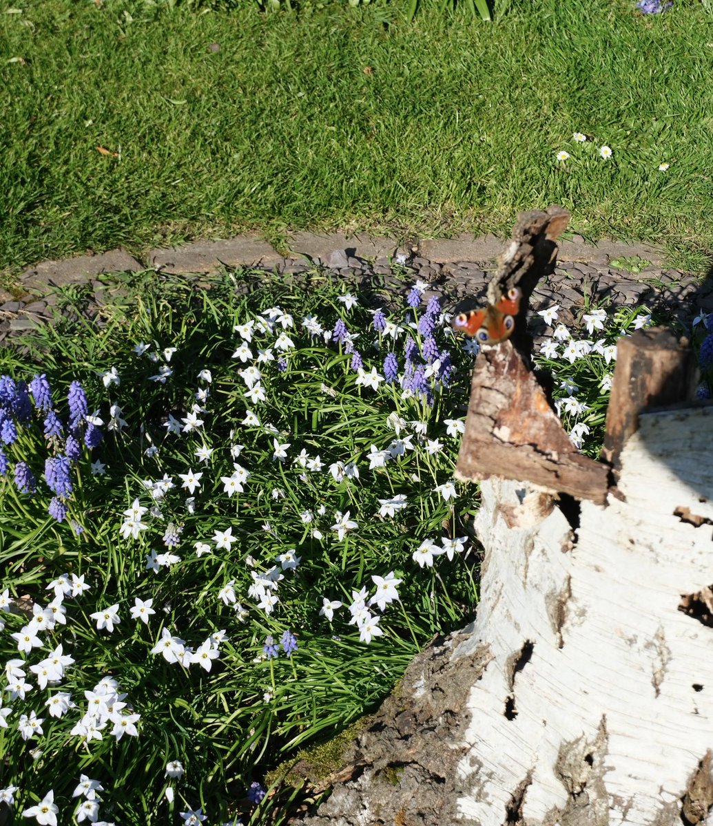 David Turner tweet media