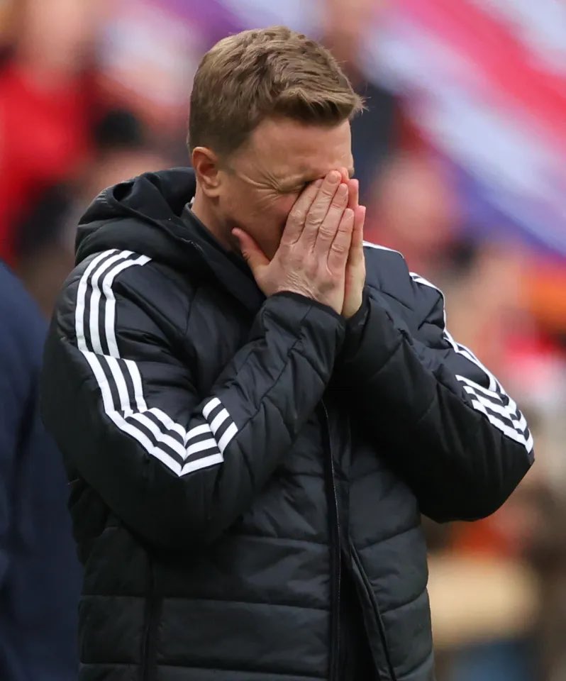 The Villa Watch tweet media