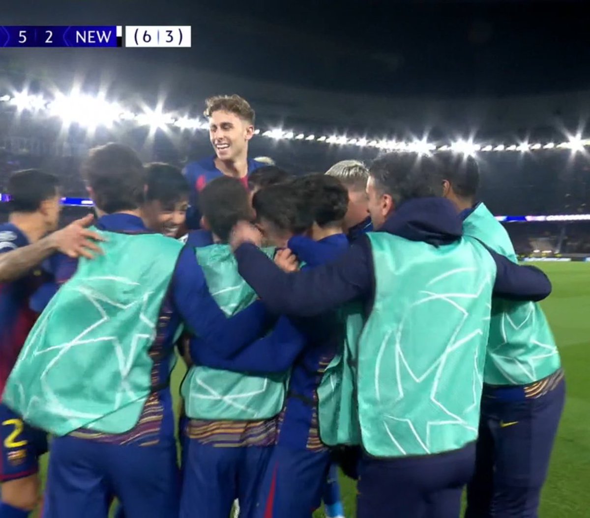 Berneese tweet media