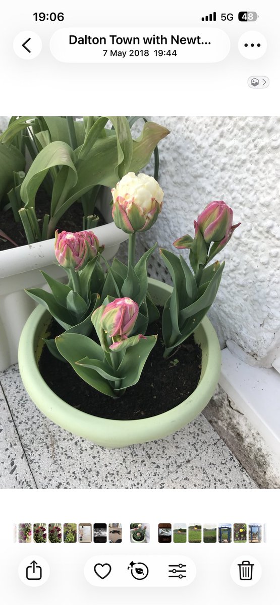 💜lilac💜 tweet media