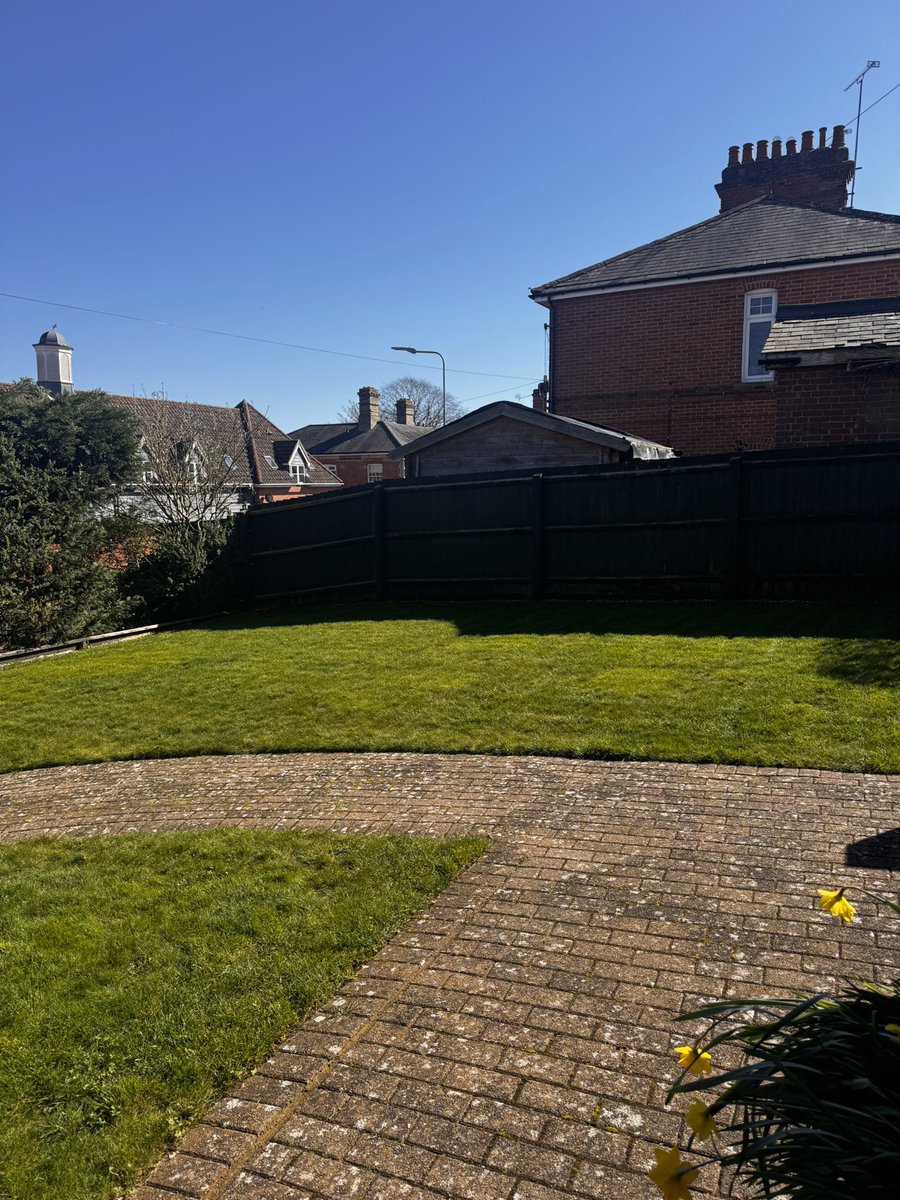 DH Maintenance tweet media