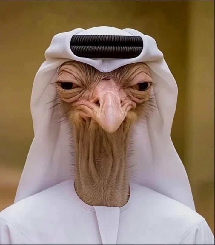 ZEShan ⚫ tweet media