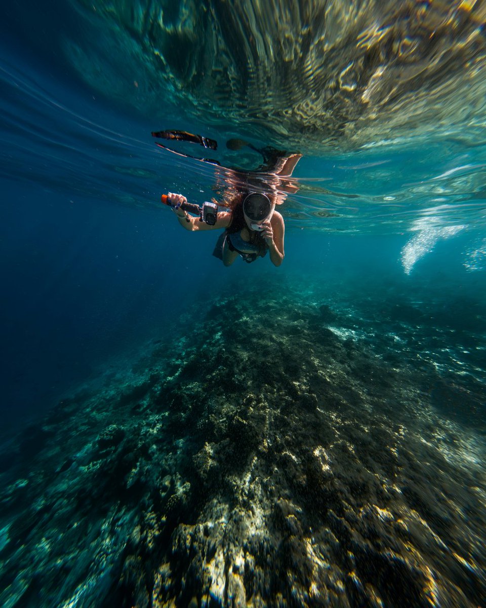 Surfrider Foundation tweet media