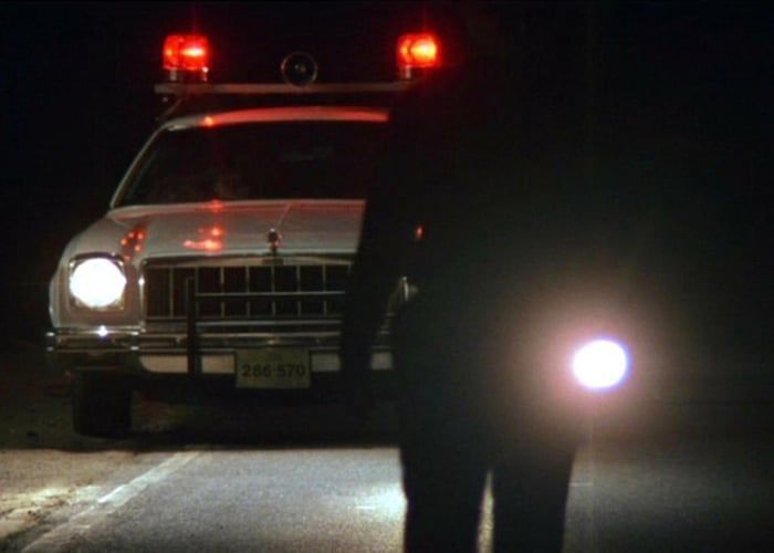 These exceptional true crime films, including 'The Thin Blue Line,' focus on cases of murder, drugs, identity theft, art forgery, kidnapping, and the mishandling of justice: buff.ly/nlD7Vyk