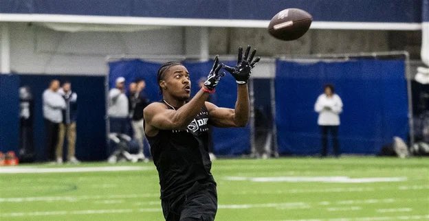 Lions247 tweet media