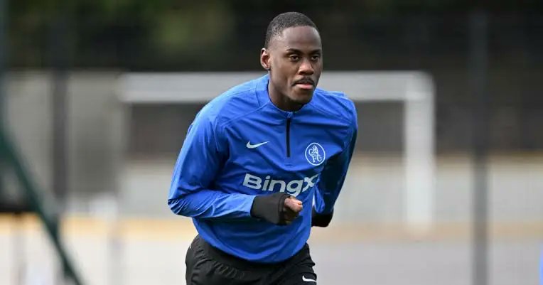 Chelsea Dodgers tweet media