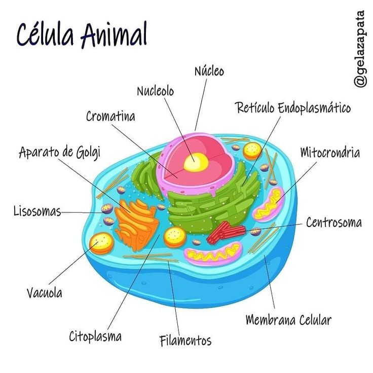 ⟣ salo tweet media