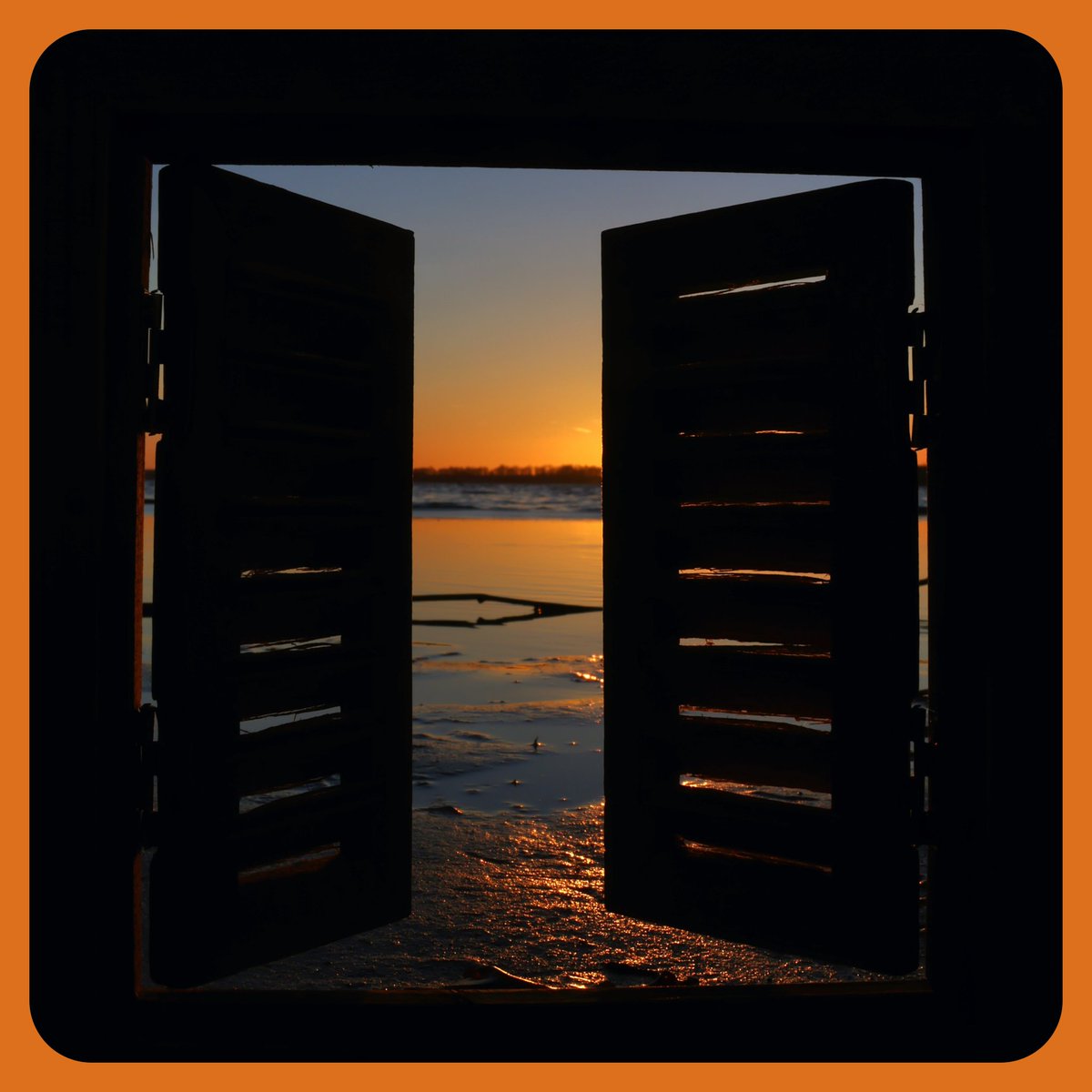 JoLaNDa_hobbyfotograaf tweet media