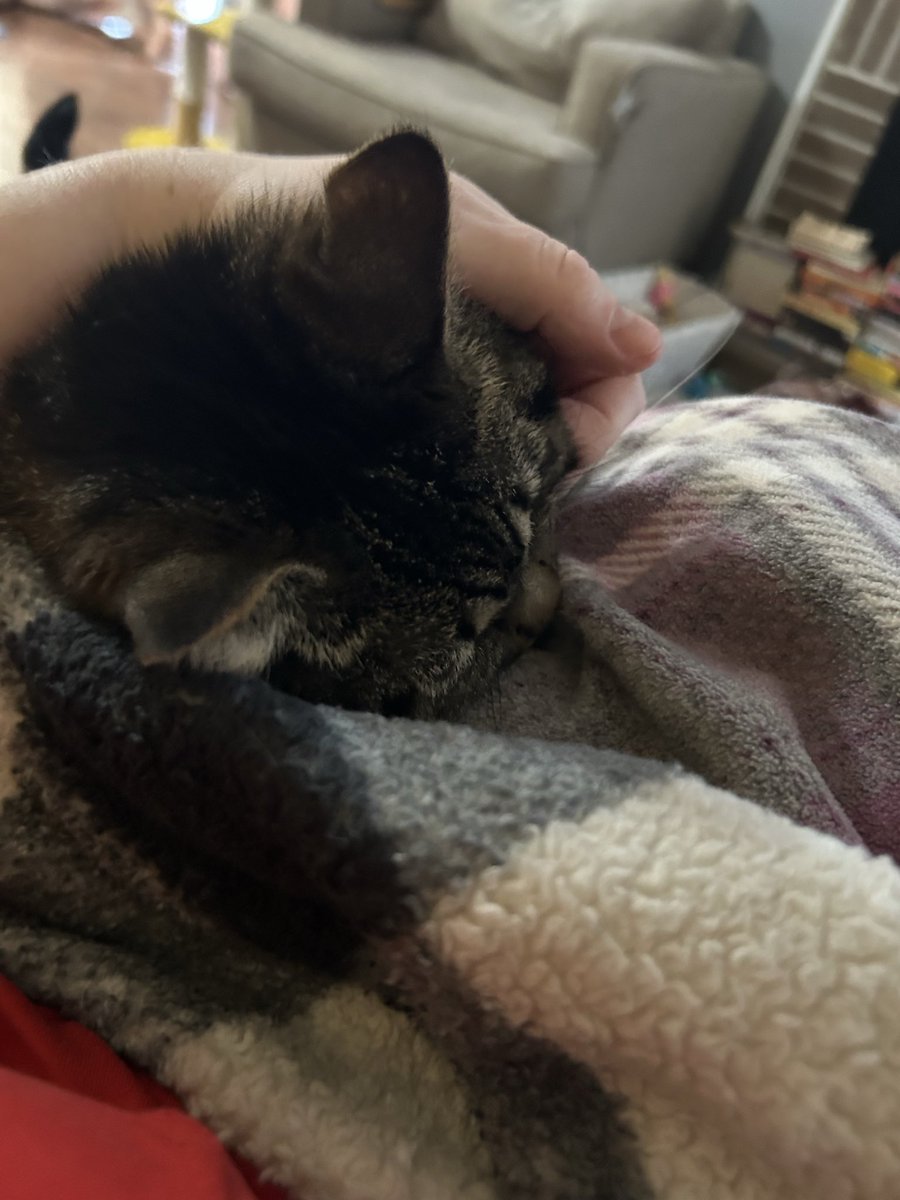 Rebecca 🪷 tweet media