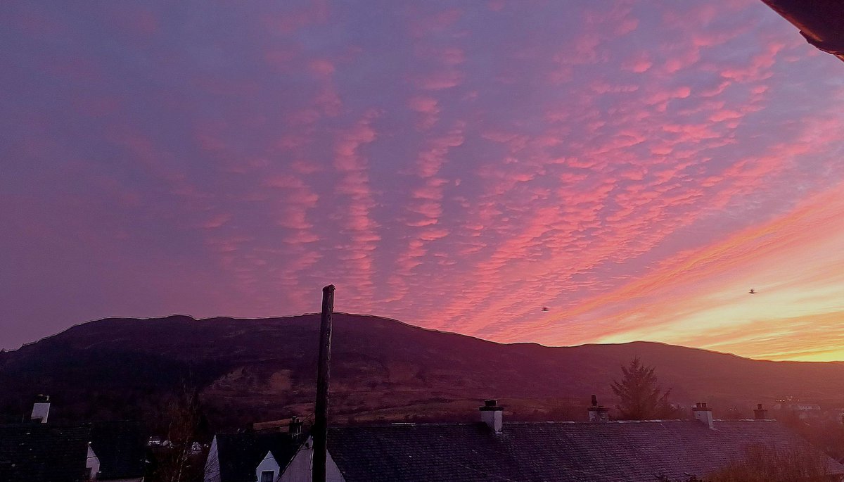 Sneachda Suz 🖤❄️💀 🏴󠁧󠁢󠁳󠁣󠁴󠁿💀❄️🖤 tweet media