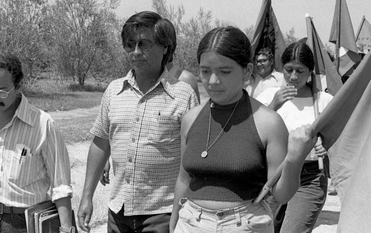 Jared Taylor tweet media