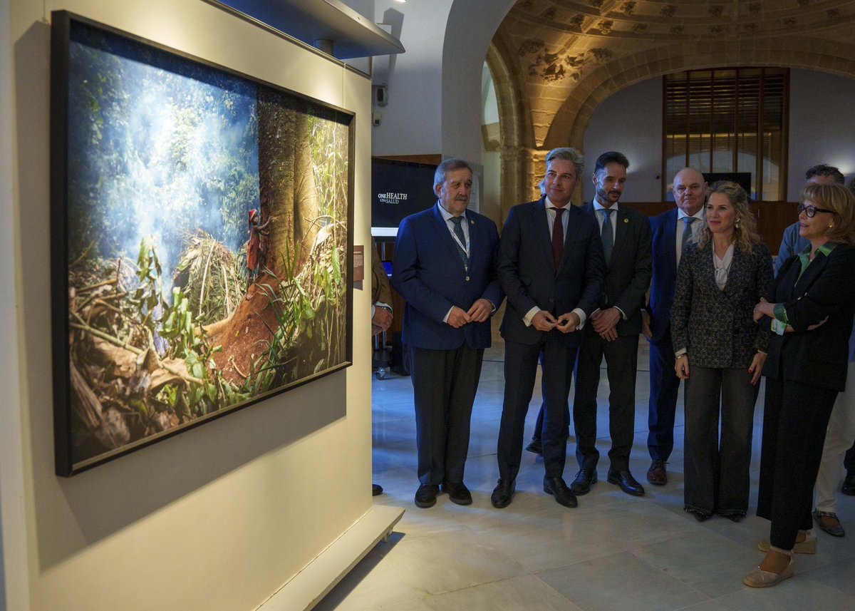 Parlamento Andalucía tweet media