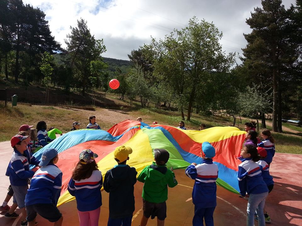 Edulònia tweet media