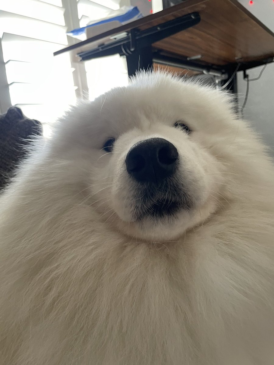 wayneradiotv tweet media