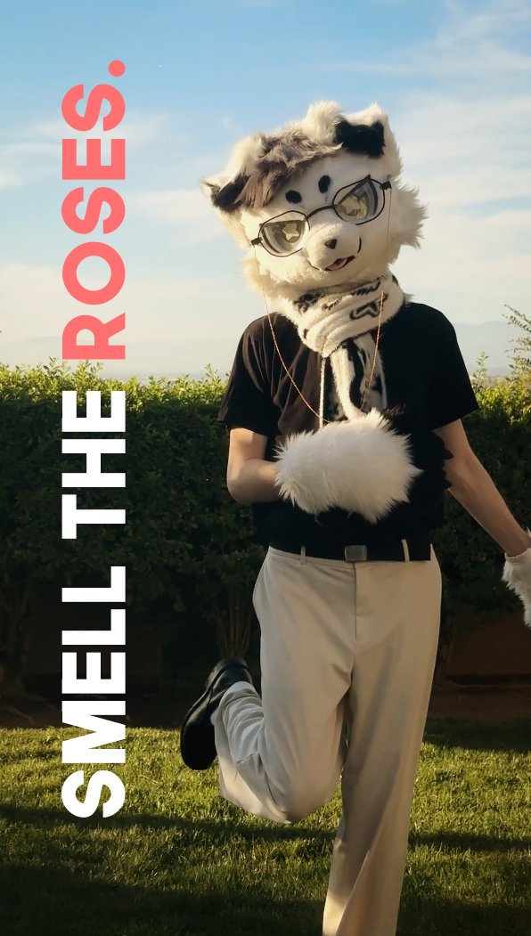 wurmo 🔜 LVFC tweet media