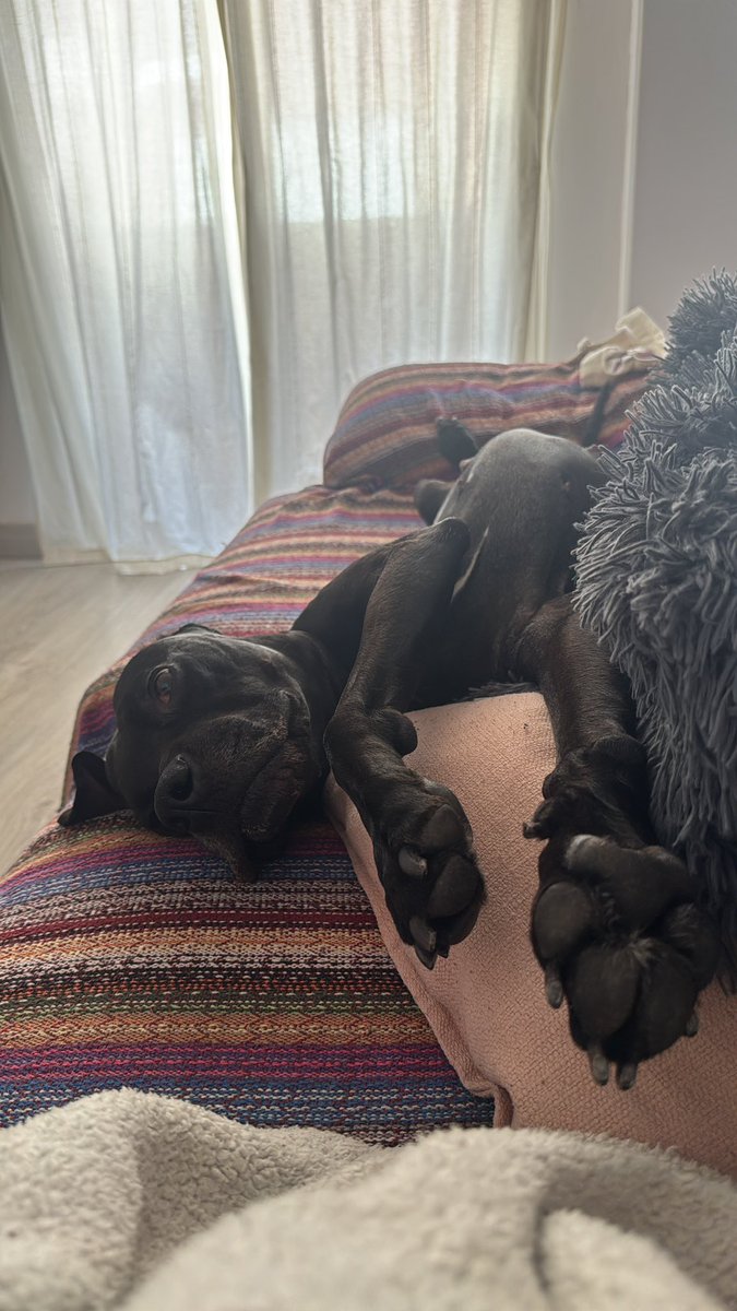 Esther P. tweet media