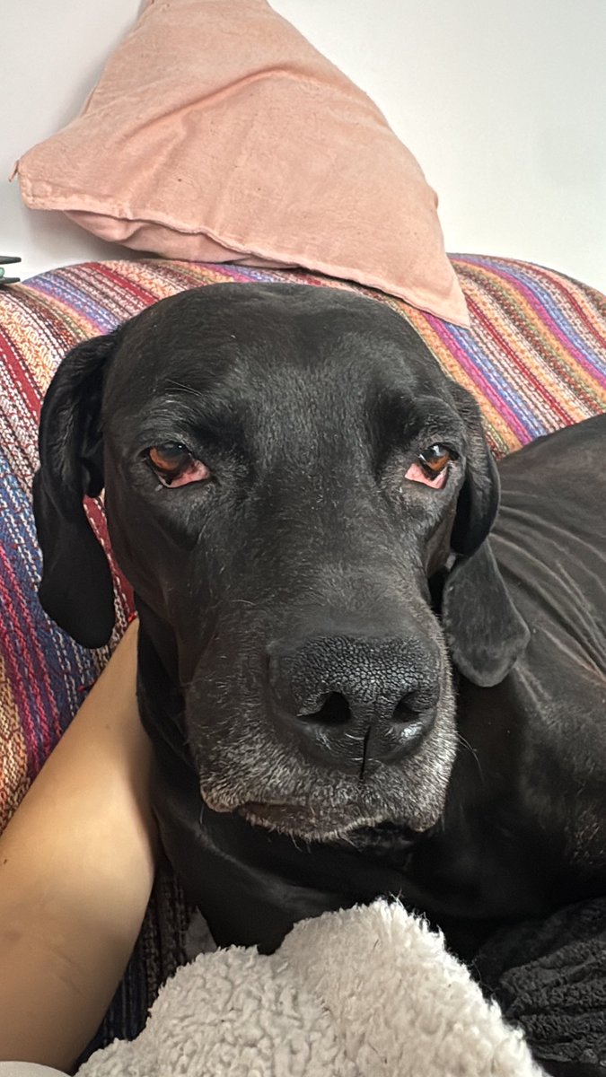 Esther P. tweet media