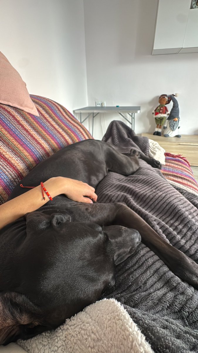 Esther P. tweet media