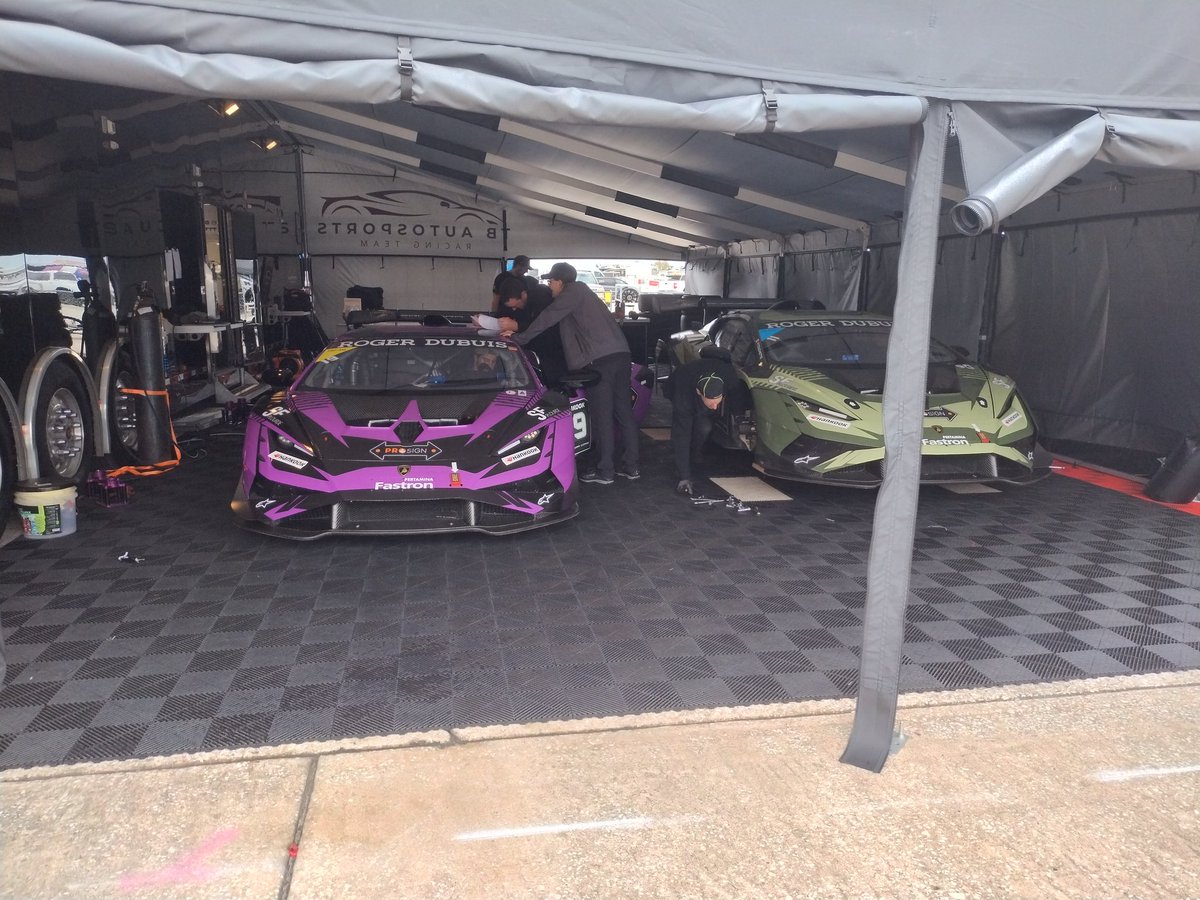 Maria Trippe 🖤 tweet media