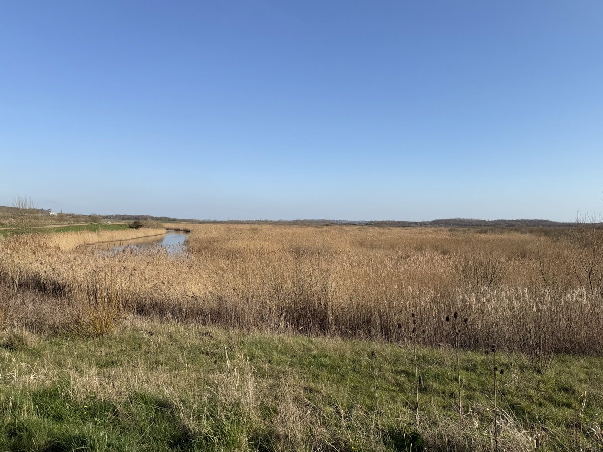 rly cool girl tweet media